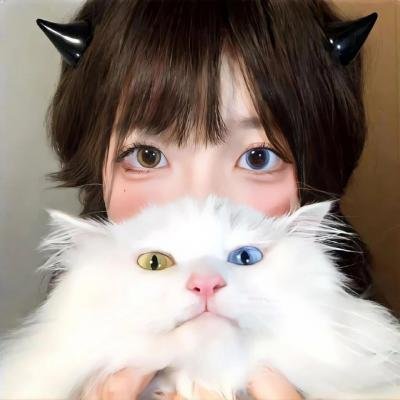 寅次郎的故事20:加油啊!寅次郎